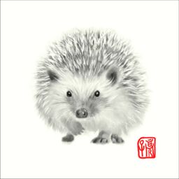 Hedgehog "Come here"